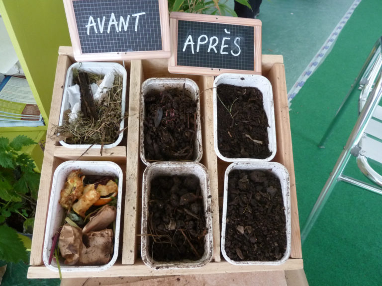 ZZZ TEST Bannière nouveau layout | WORMS asbl