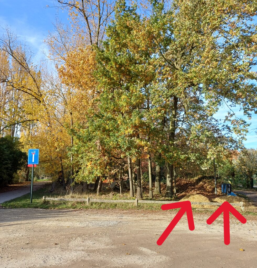 20251105_petit chemin vert_3