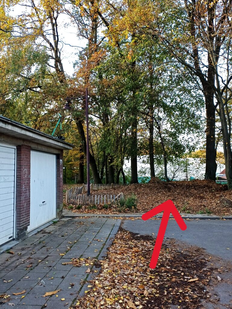 20251105_avenue des jardins_1