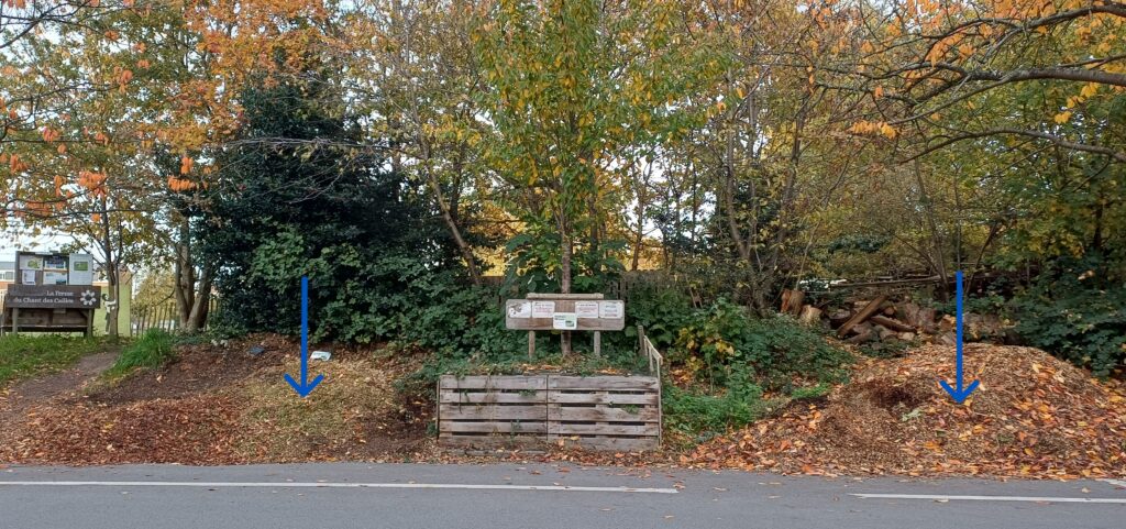 20251105_chant des cailles_1