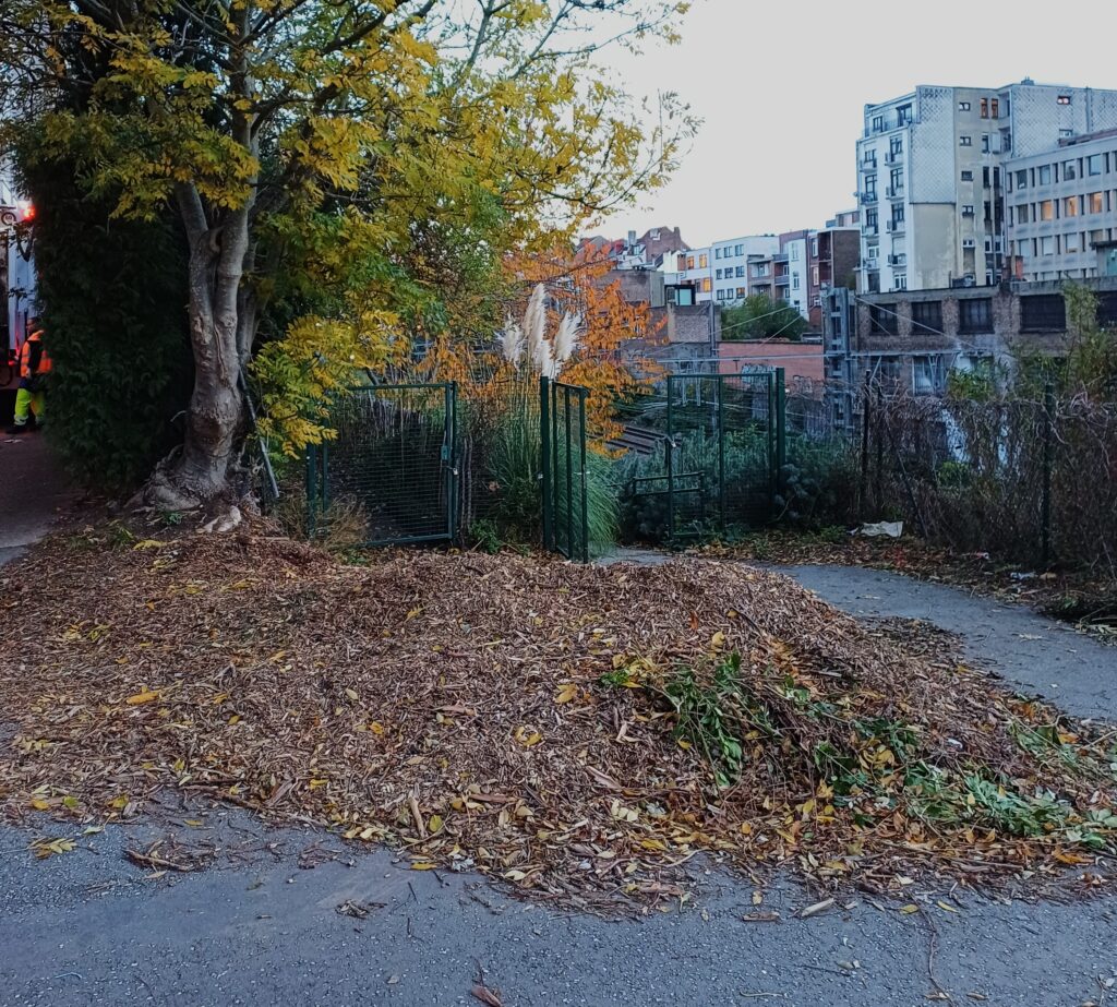 20251105_jardins participatifs_3