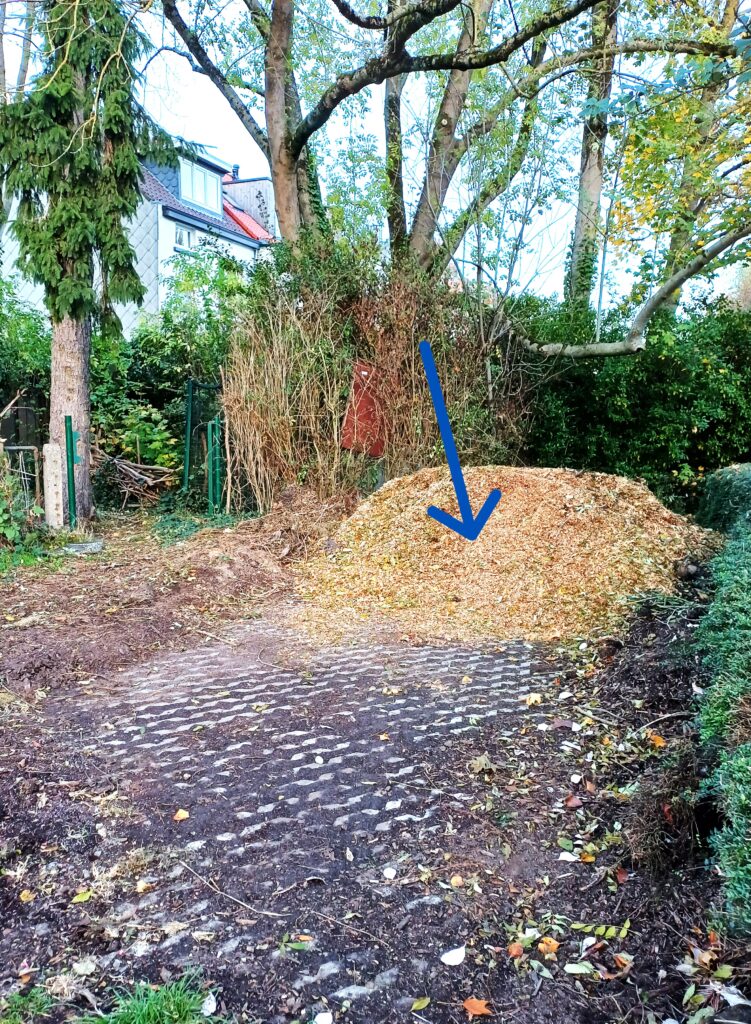 20251105_pecheries bechonias_1