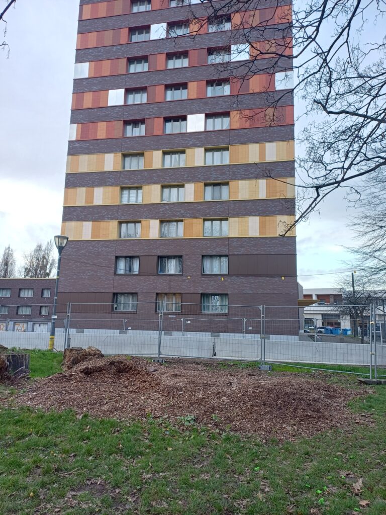 20251210_pot albert_2